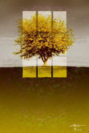 Window on an Amber Tree 2x3